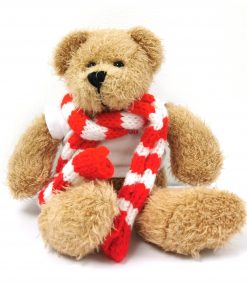 SFE CHRISTMAS BEAR 12