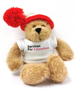 SFE CHRISTMAS BEAR 8