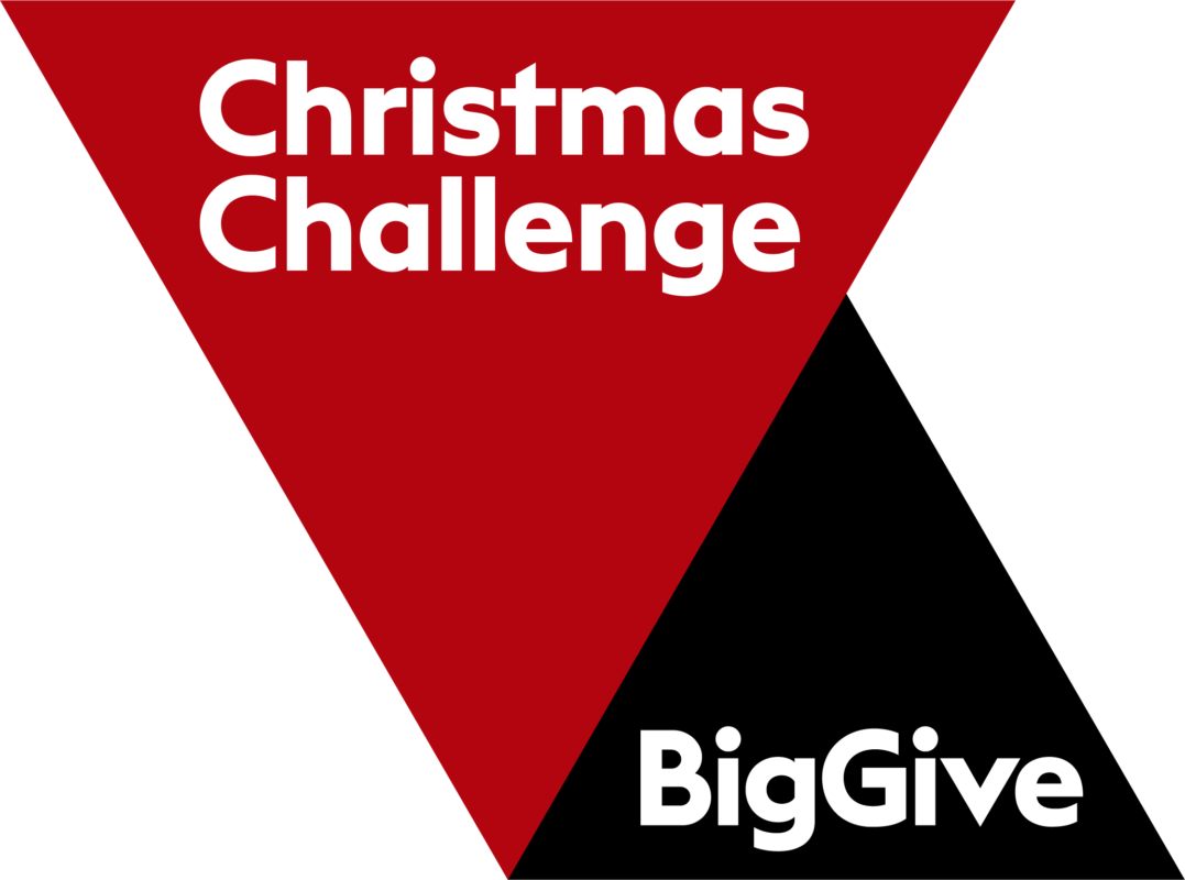 Big Give logo
